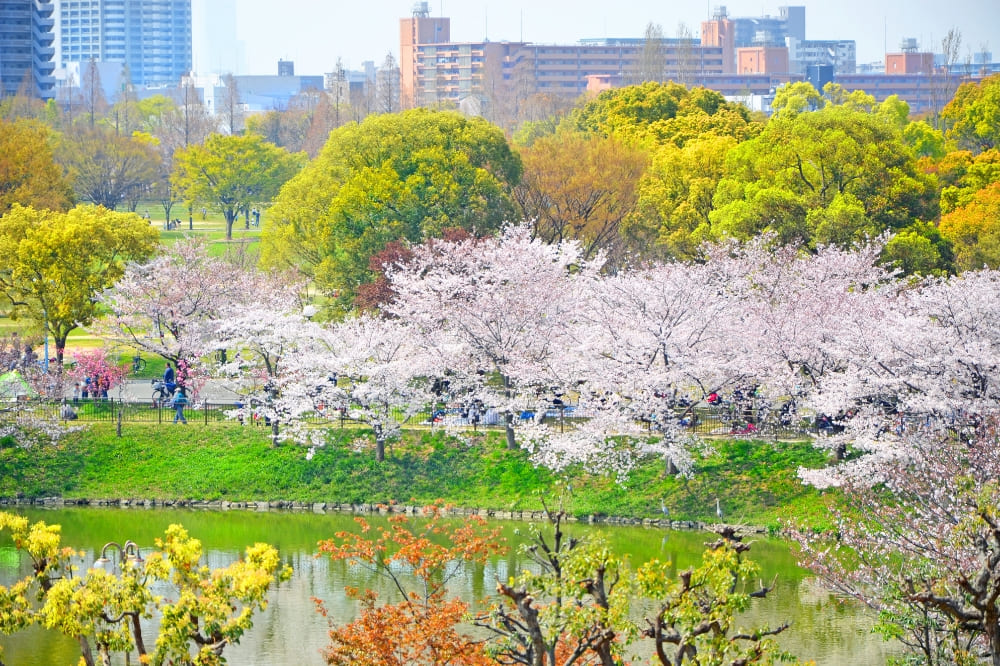 鶴⾒緑地公園